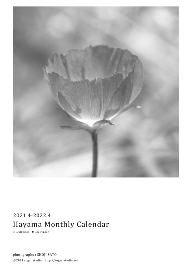 21年４月始まり葉山カレンダーのご案内 Sugar Studio 写真家 佐藤正治の世界